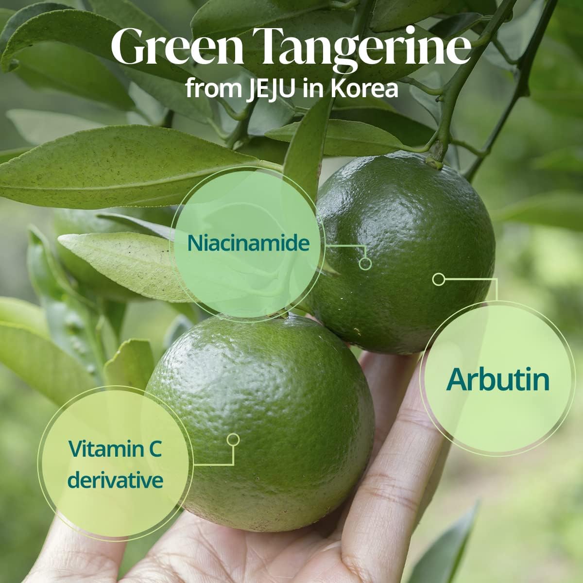 Green Tangerine Vita-C Toner 300ml
